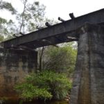 Pont de la voie ferrée  Koniambo (Voh)