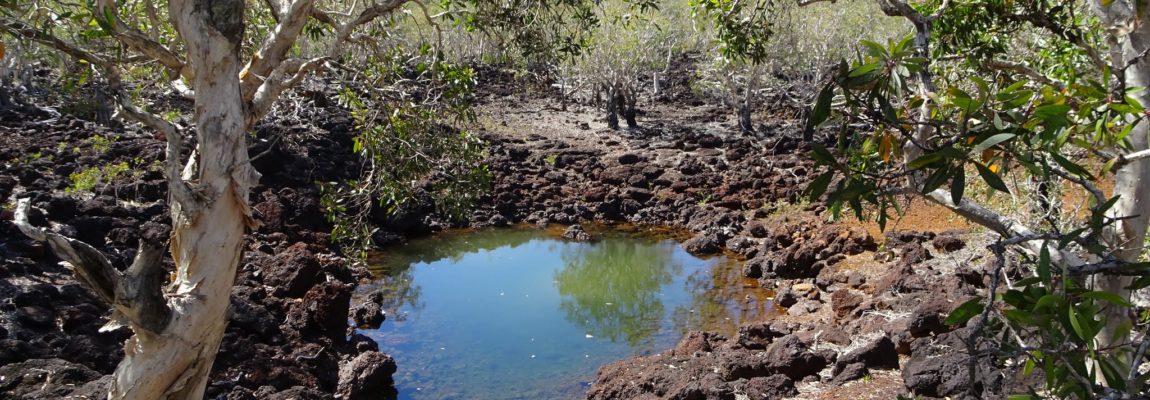 #caption3 Le plateau de TIA