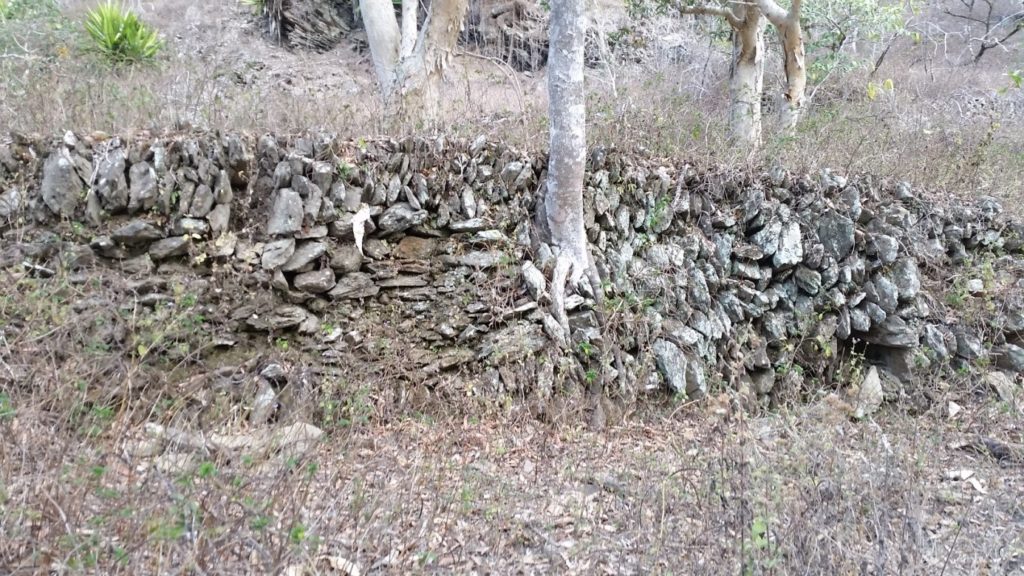 Vestiges d'une ancienne occupation humaine sur le sentier de Guadu Dayou à Voh