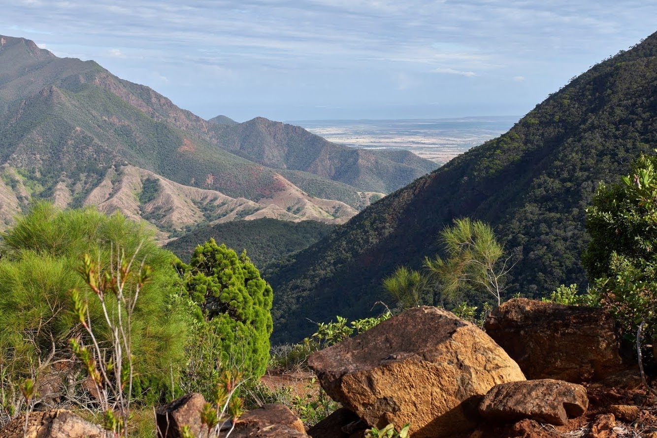 L'HOMEDEBOA (KaalaGomen) Les épicuriens du caillou