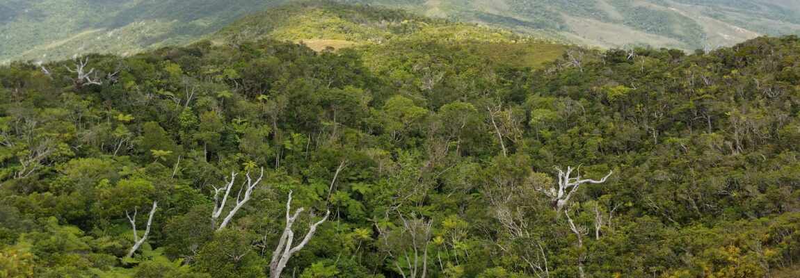 Le mont  Mandjella (ou Mandjelia), Pouébo, en direction d’ Ignambi. 25 août 2021
