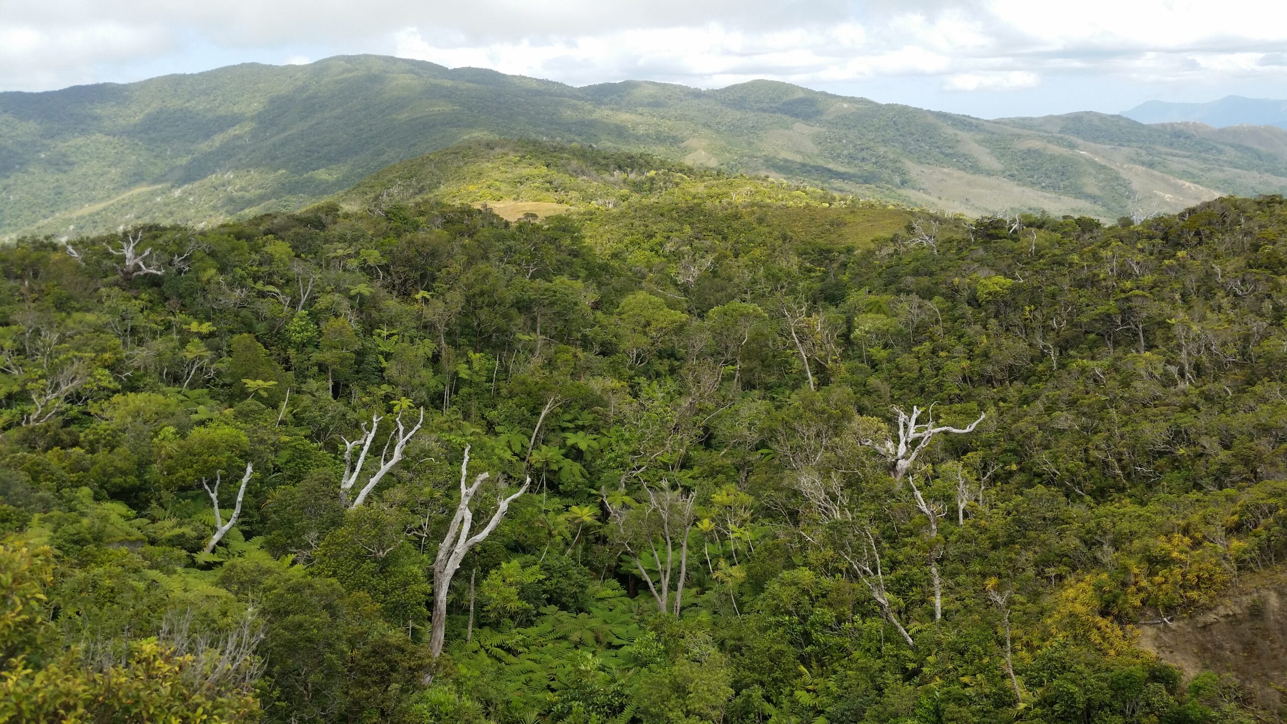 Le mont Mandjella (ou Mandjelia), Pouébo, en direction d’ Ignambi. 25