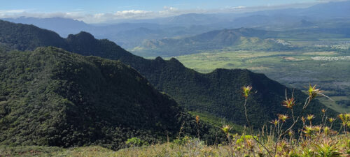 Paysage du massif minier du Koniambo