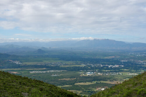 Maquis minier sur les hauteurs du massif du Koniambo
