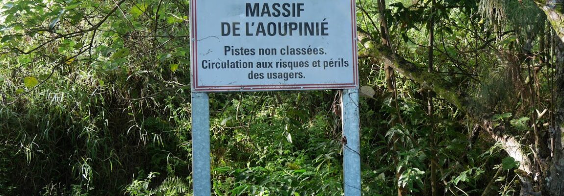 Le Massif de l&rsquo;Aoupinié par Ponérihouen