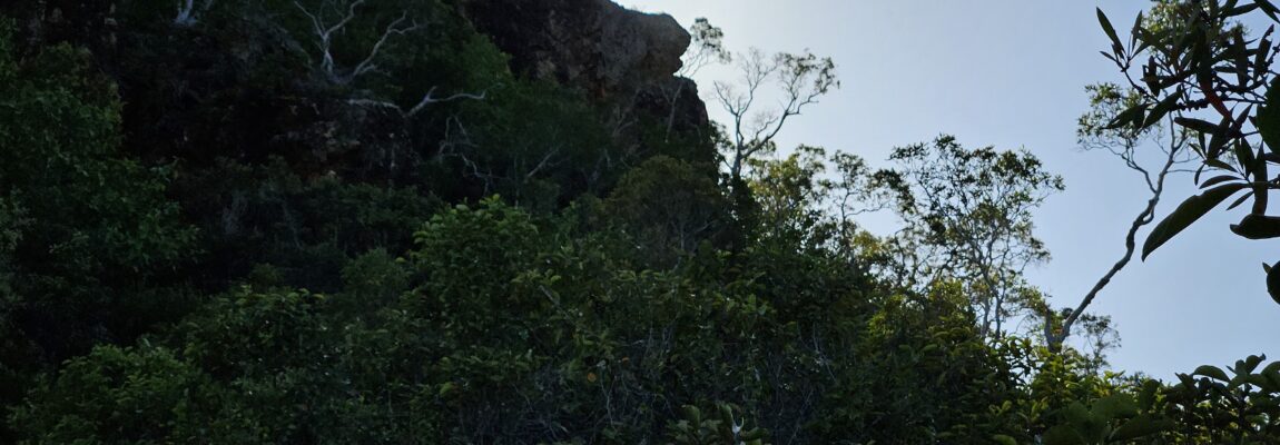 Mine « Le pic » (Dumbéa)