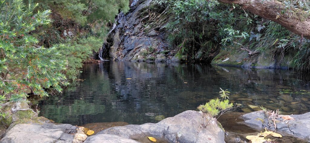 Trou d'eau juste à côté des tertres